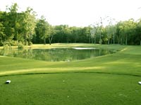 golfing at Wescott Plantation South Carolina